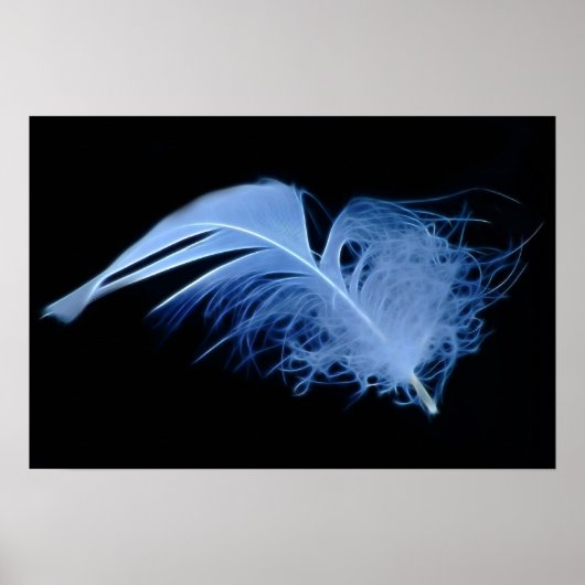 Eine weiße Eisfeder in Schwarz-Weiß Poster (Vorne)