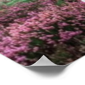 Eine weiße Elche im Montain Poster (Ecke)