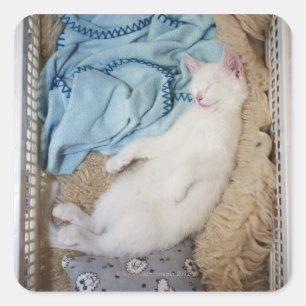 Eine weiße Katze, die in einem Wäschekorb schlä Quadratischer Aufkleber