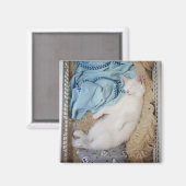 Eine weiße Katze, die in einem Wäschekorb schläft, Magnet (Vorderseite/Rückseite)