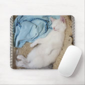 Eine weiße Katze, die in einem Wäschekorb schläft, Mousepad (Mit Mouse)