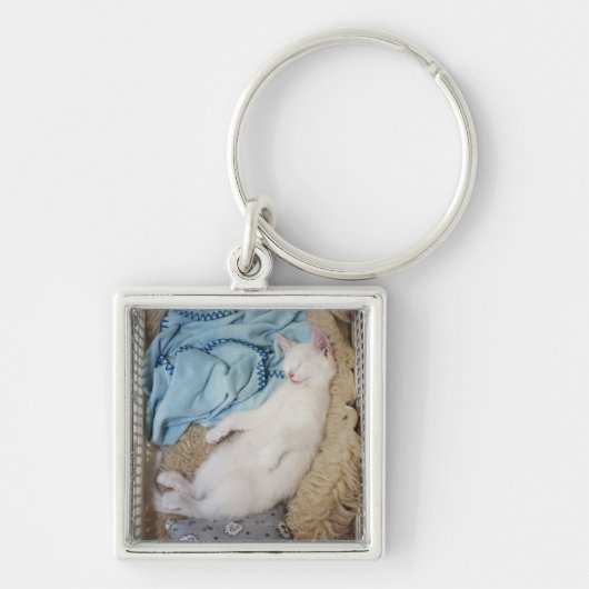 Eine weiße Katze, die in einem Wäschekorb schläft, Schlüsselanhänger (Vorne)