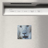 Eine weiße Lion in Südafrika Magnet (In Situ (Geschirrspüler))