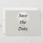 Eine weiße Margerite Save The Date (Rückseite)
