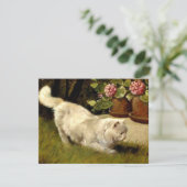 Eine weiße persische Katze, die einen Ladybug guck Karte (Stehend Vorderseite)