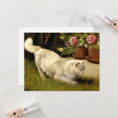 Eine weiße persische Katze, die einen Ladybug guck Karte (Vorderseite/Rückseite Beispiel)