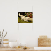 Eine weiße persische Katze, die einen Ladybug guck Poster (Küche)