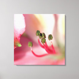 Eine weitere gestreifte Canvas Print Leinwanddruck