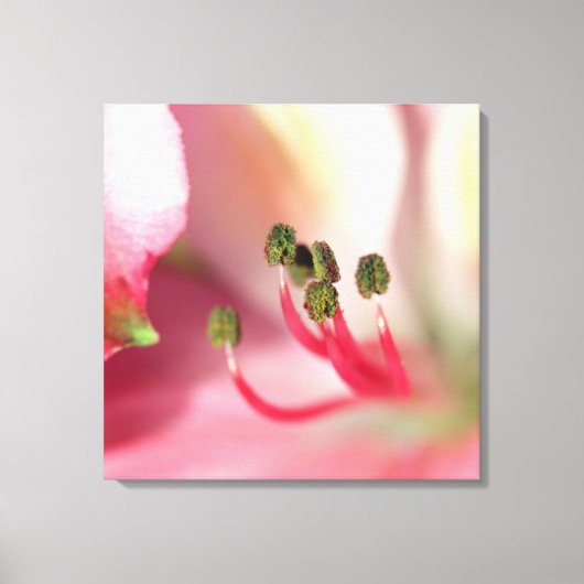 Eine weitere gestreifte Canvas Print Leinwanddruck (Vorderseite)
