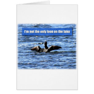Eine weitere Loon am See