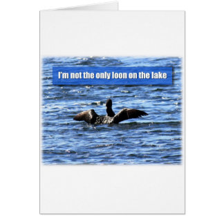 Eine weitere Loon am See