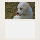 Eine Welpen-Zunge (Vorne & Hinten)