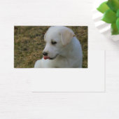 Eine Welpen-Zunge (Schreibtisch)