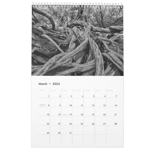 Eine Welt aus Schwarz und Weiß Kalender (Mär 2026)