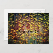 Eine Welt! Postkarte (Vorne/Hinten)