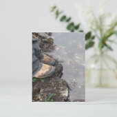 Eine Welt unter uns Postkarte (Stehend Vorderseite)