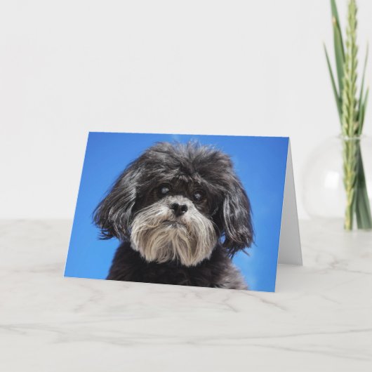 Eine wenig Liebe Karte (Vorderseite)