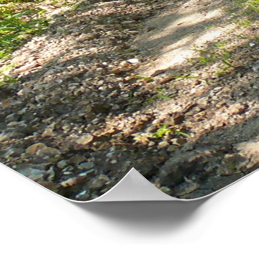 Eine weniger befahrene Straße Poster (Ecke)