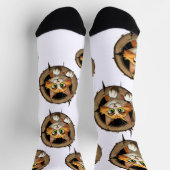 Eine Whimsikkatze mit hellgrünen Augen Pech Socken (Oben)