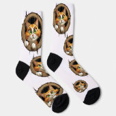 Eine Whimsikkatze mit hellgrünen Augen Pech Socken (Rechts)