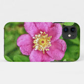Eine wilde Rose Case-Mate iPhone Hülle (Rückseite (Horizontal))