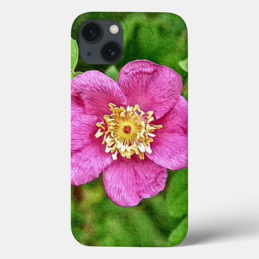 Eine wilde Rose Case-Mate iPhone Hülle (Rückseite)