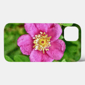 Eine wilde Rose Case-Mate iPhone Hülle (Rückseite (Horizontal))