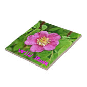 Eine wilde Rose Fliese (Seite)