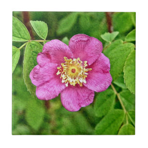 Eine wilde Rose Fliese