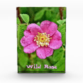 Eine wilde Rose Fotoblock (Vorderseite)