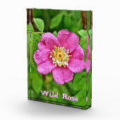 Eine wilde Rose Fotoblock (Rechts)