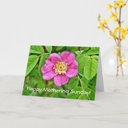 Eine wilde Rose Karte (Gelbe Blume)