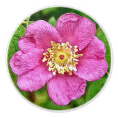 Eine wilde Rose Keramikknauf (Vorderseite)