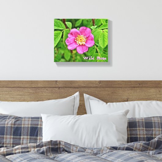 Eine wilde Rose Leinwanddruck (Insitu (Schlafzimmer))