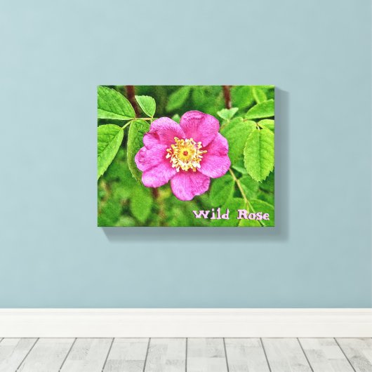 Eine wilde Rose Leinwanddruck (Insitu (Holzboden))