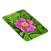 Eine wilde Rose Magnet (Rechte Seite)