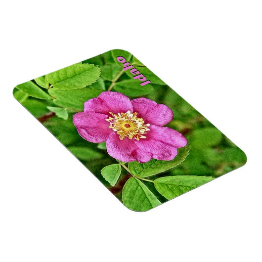 Eine wilde Rose Magnet (Rechte Seite)