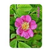Eine wilde Rose Magnet (Vertikal)