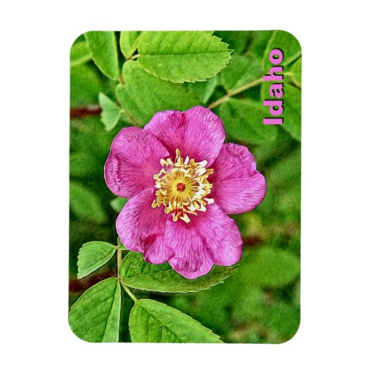 Eine wilde Rose Magnet (Vertikal)