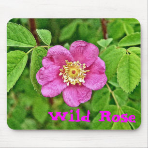 Eine wilde Rose Mousepad
