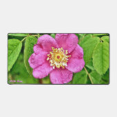 Eine wilde Rose Schreibtischunterlage (Vorderseite)