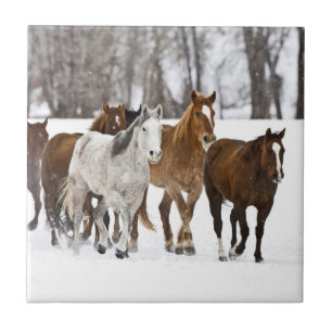 Eine Winterlandschaft beim Laufen Fliese
