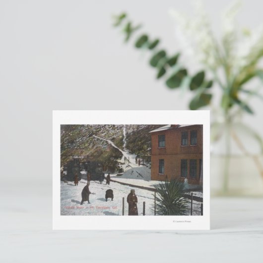 Eine Winterlandschaft, Erwachsene im Schnee Postkarte (Stehend Vorderseite)