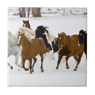 Eine Winterlandschaft mit galoppierenden Pferden Fliese