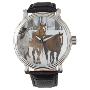Eine Winterlandschaft mit Laufen Armbanduhr