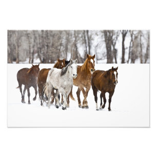 Eine Winterlandschaft mit Laufen Fotodruck