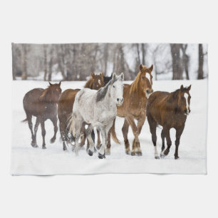 Eine Winterlandschaft mit Laufen Küchentuch