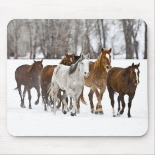 Eine Winterlandschaft mit laufenden Pferden Mousepad