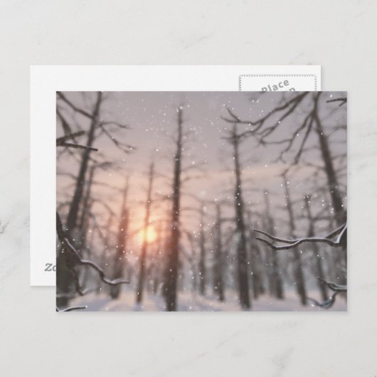 Eine Winternachtskarte Postkarte (Vorne/Hinten)