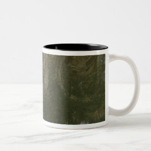 Eine Wolke-freie Ansicht der Südvereinigten Zweifarbige Tasse